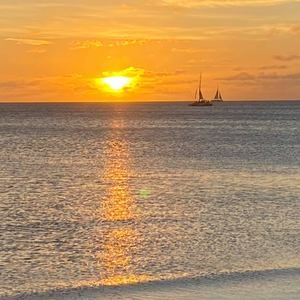 Meet your Posher, Tom